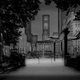 Illustration for article titled New Yorks Central Park never looked so beautiful as in these photos